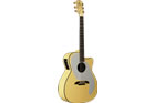 Alvarez Yairi ADY1 Ani DiFranco Cutaway Acoustic/Electric Guitar