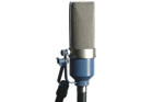 Apex APEX205 Ribbon Microphone