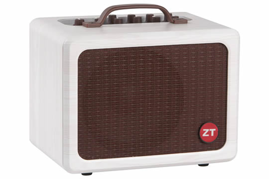 ZT Lunchbox Acoustic 2CH Guitar Vocal Amplifier