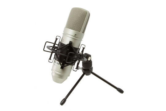 TASCAM TM-80 Condenser Microphone