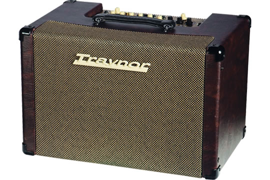 Traynor AM CUSTOM 225-Watt Acoustic Guitar Amplifier