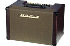 Traynor AM CUSTOM 225-Watt Acoustic Guitar Amplifier