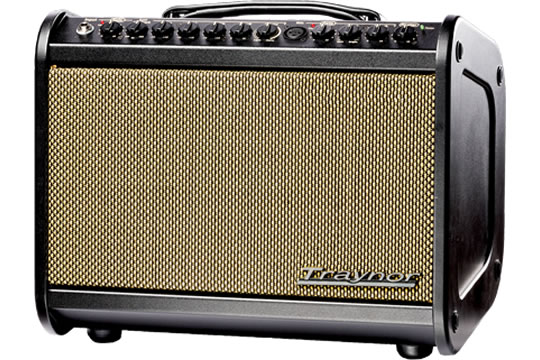 Traynor AM MINI Acoustic Guitar Amplifier