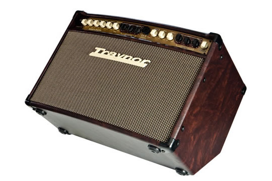 Traynor AM STANDARD 150-Watt Acoustic Guitar Amplifier