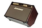 Traynor AM STANDARD 150-Watt Acoustic Guitar Amplifier