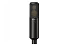 Sony C100 High Resolution Studio Vocal Condenser Microphone