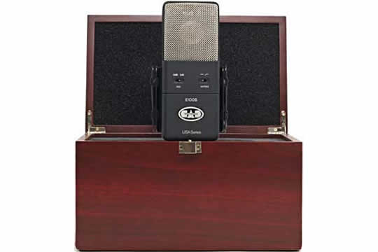CAD E100S Condenser Microphone