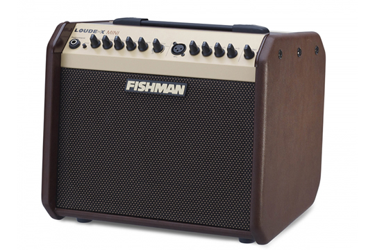 Fishman Loudbox Mini 60W Acoustic Guitar Amplifier